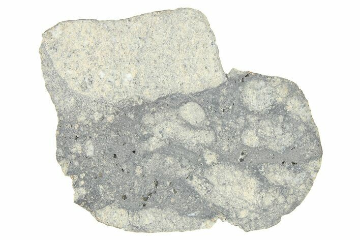 Eucrite Meteorite Slice ( g) - From Vesta Minor-Planet #280631